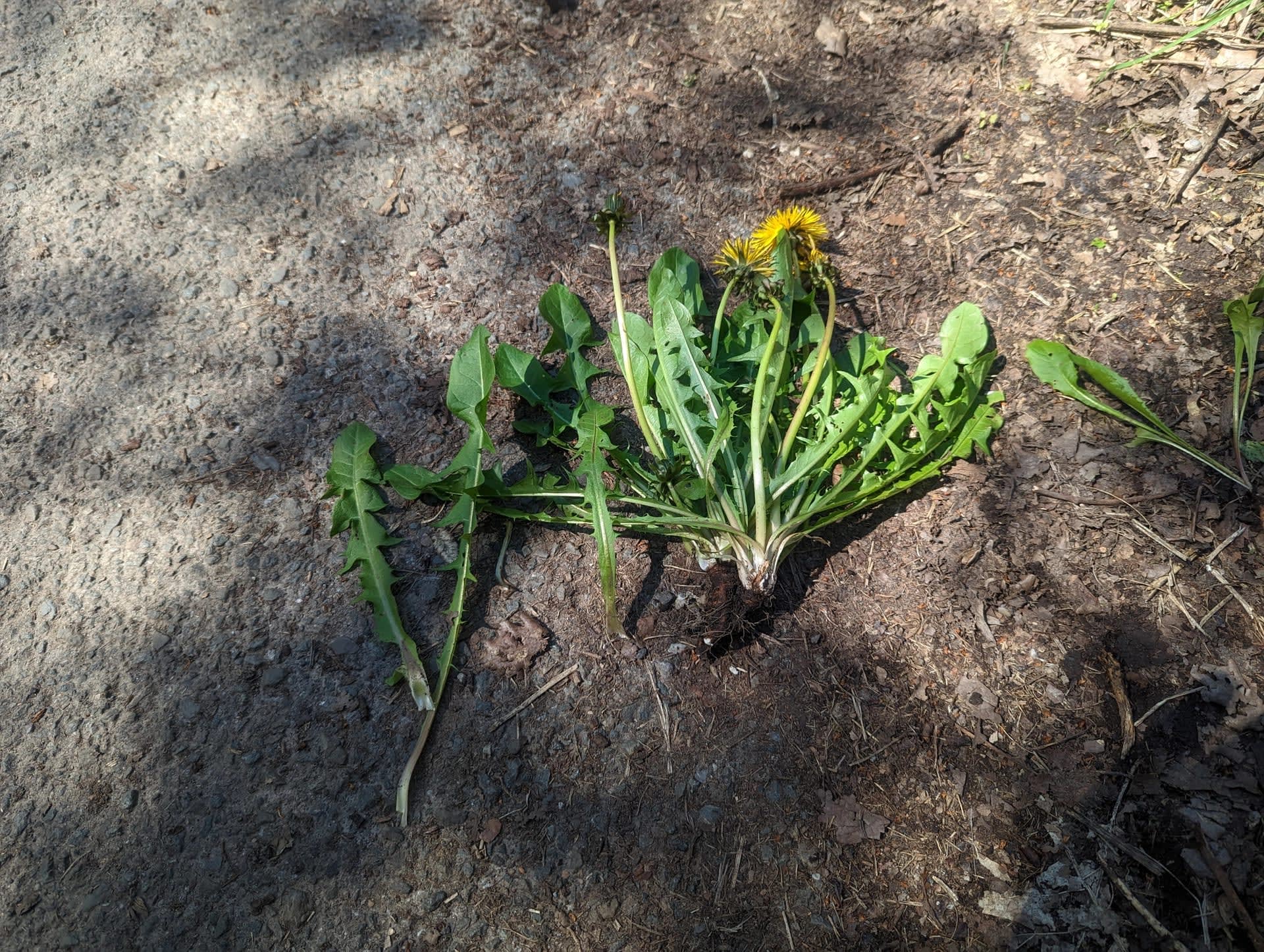 Pxl 20230419 120544903