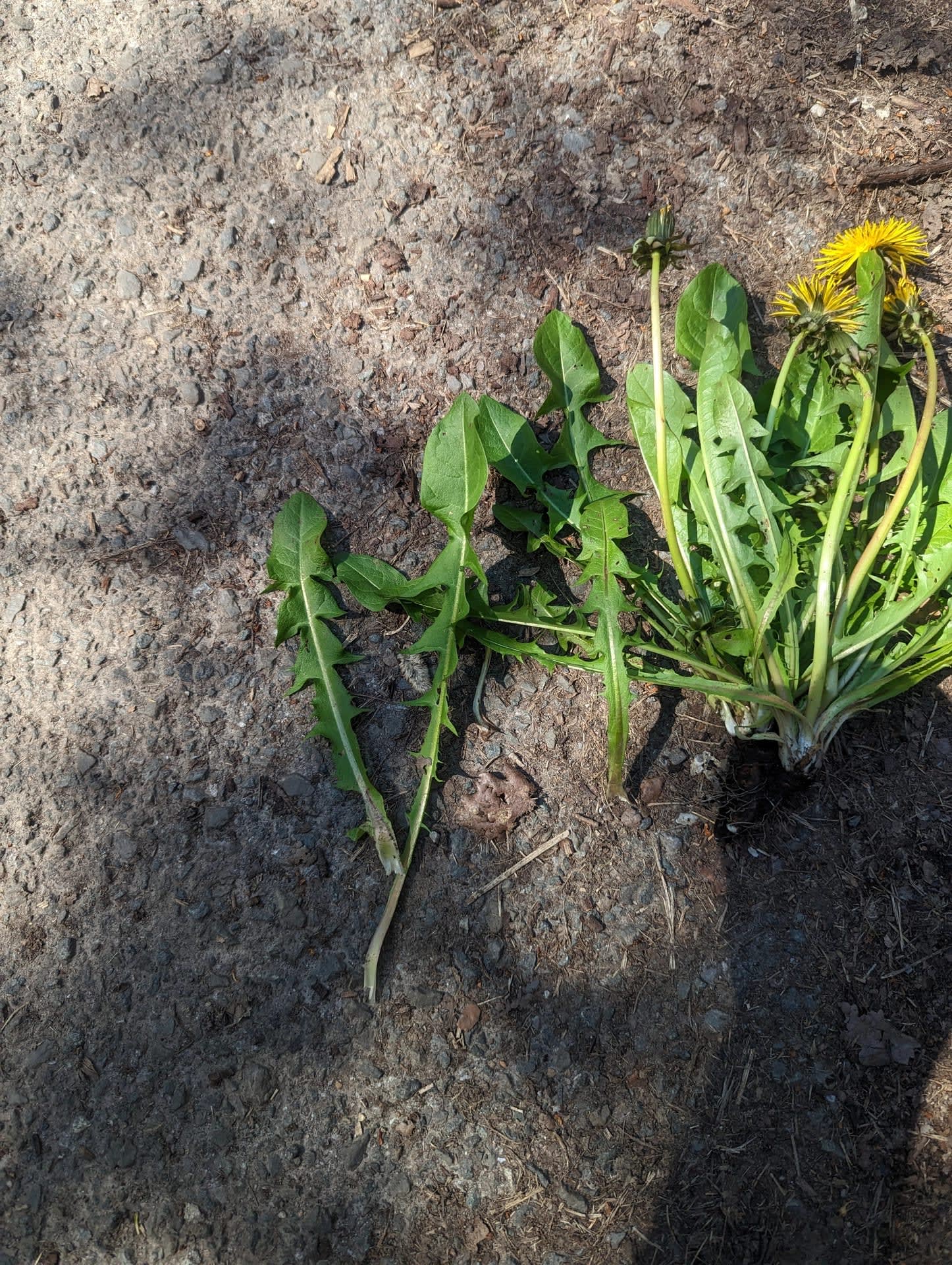 Pxl 20230419 120548140