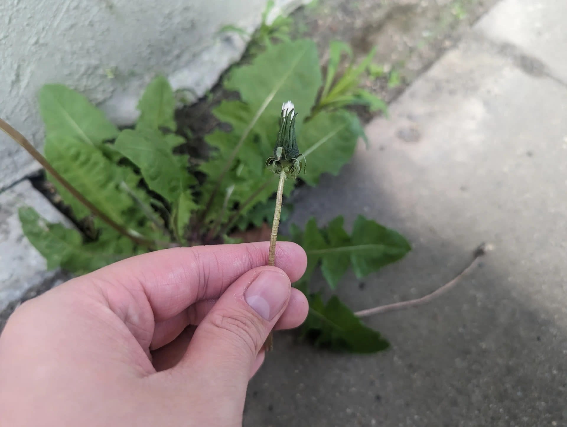 Pxl 20230515 112426606