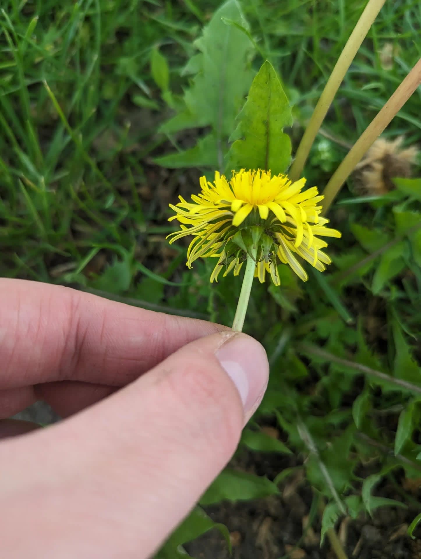 Pxl 20230515 125212708