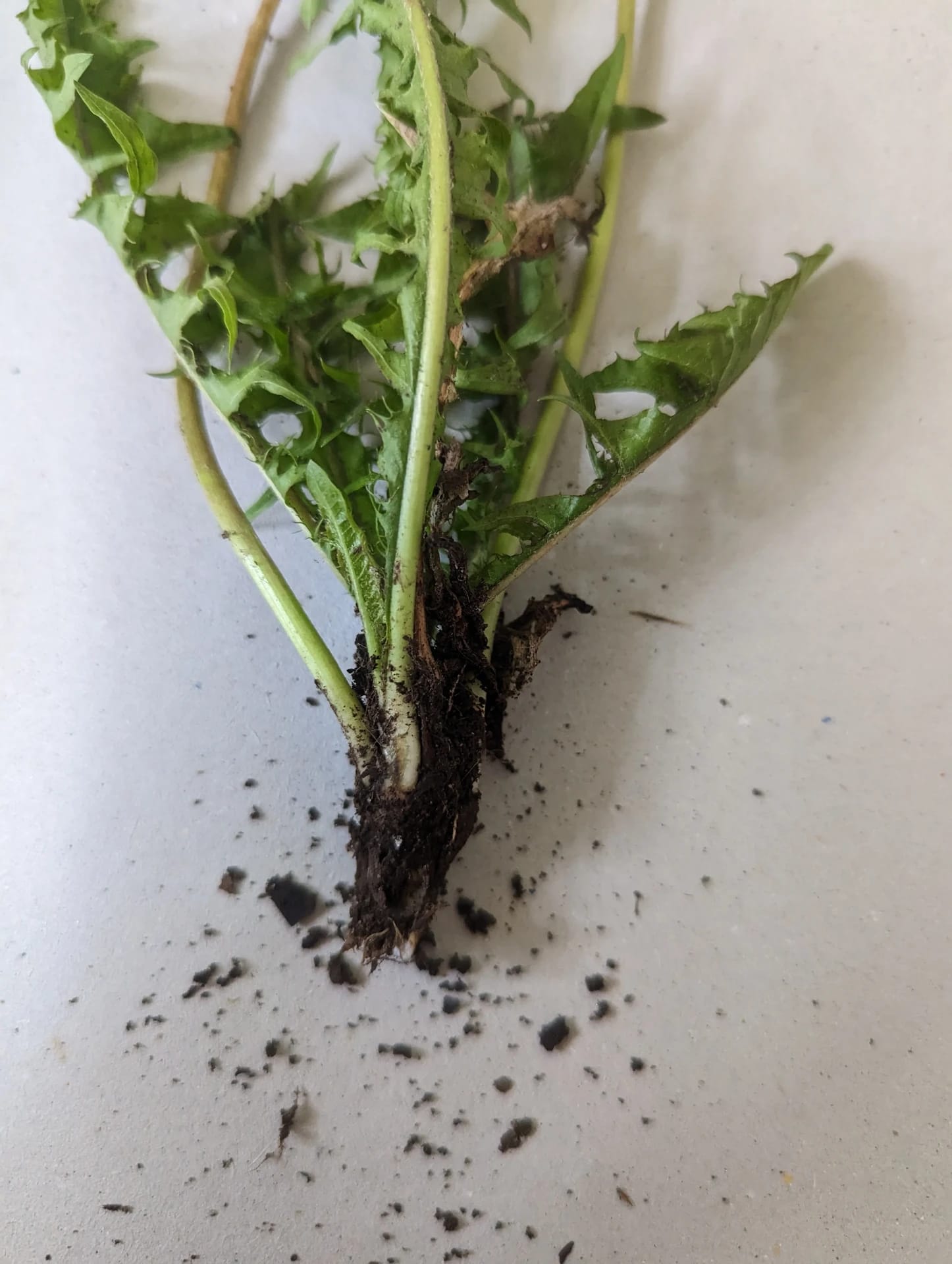 Pxl 20230515 125954941