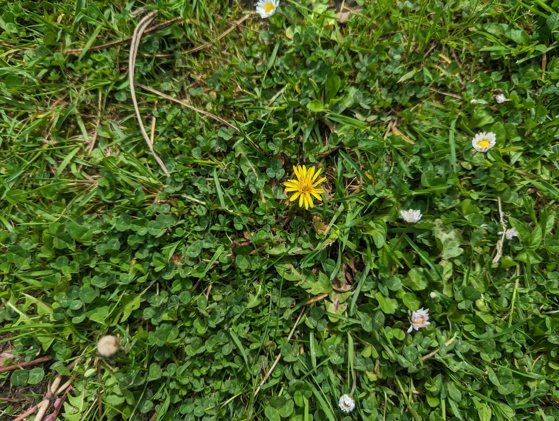 Pxl 20230516 100409081