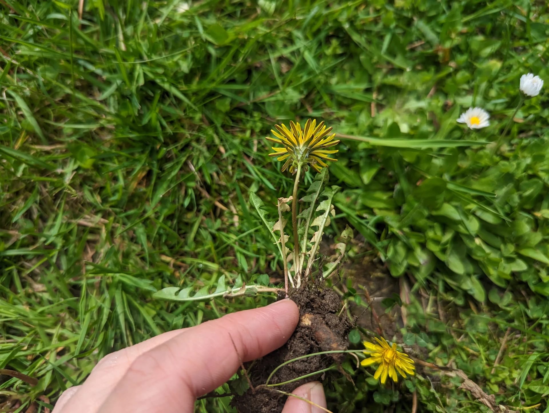 Pxl 20230516 100613683