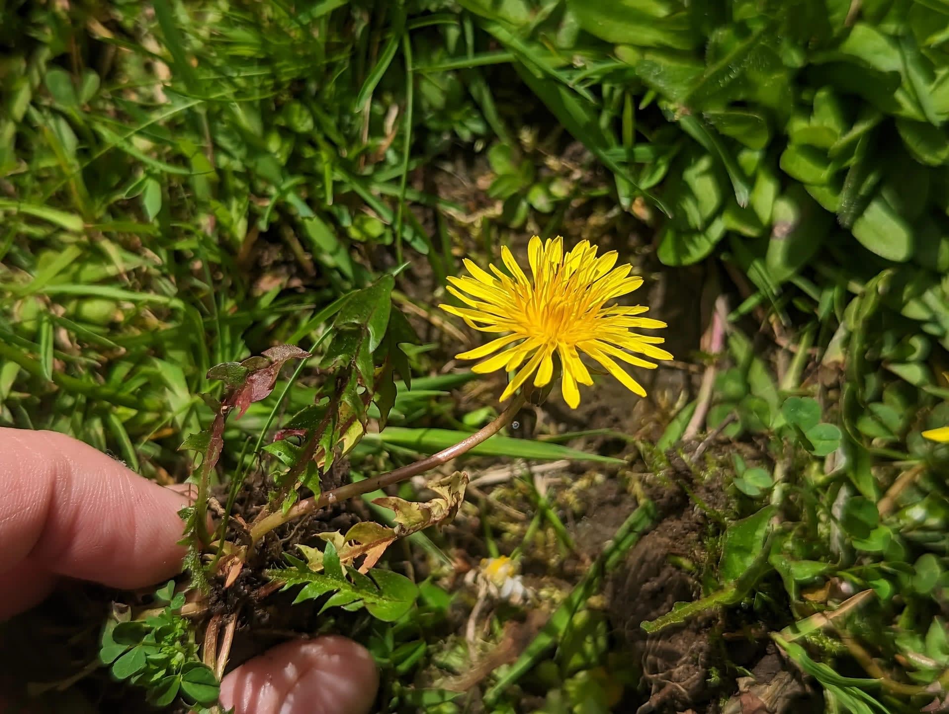 Pxl 20230516 100628986