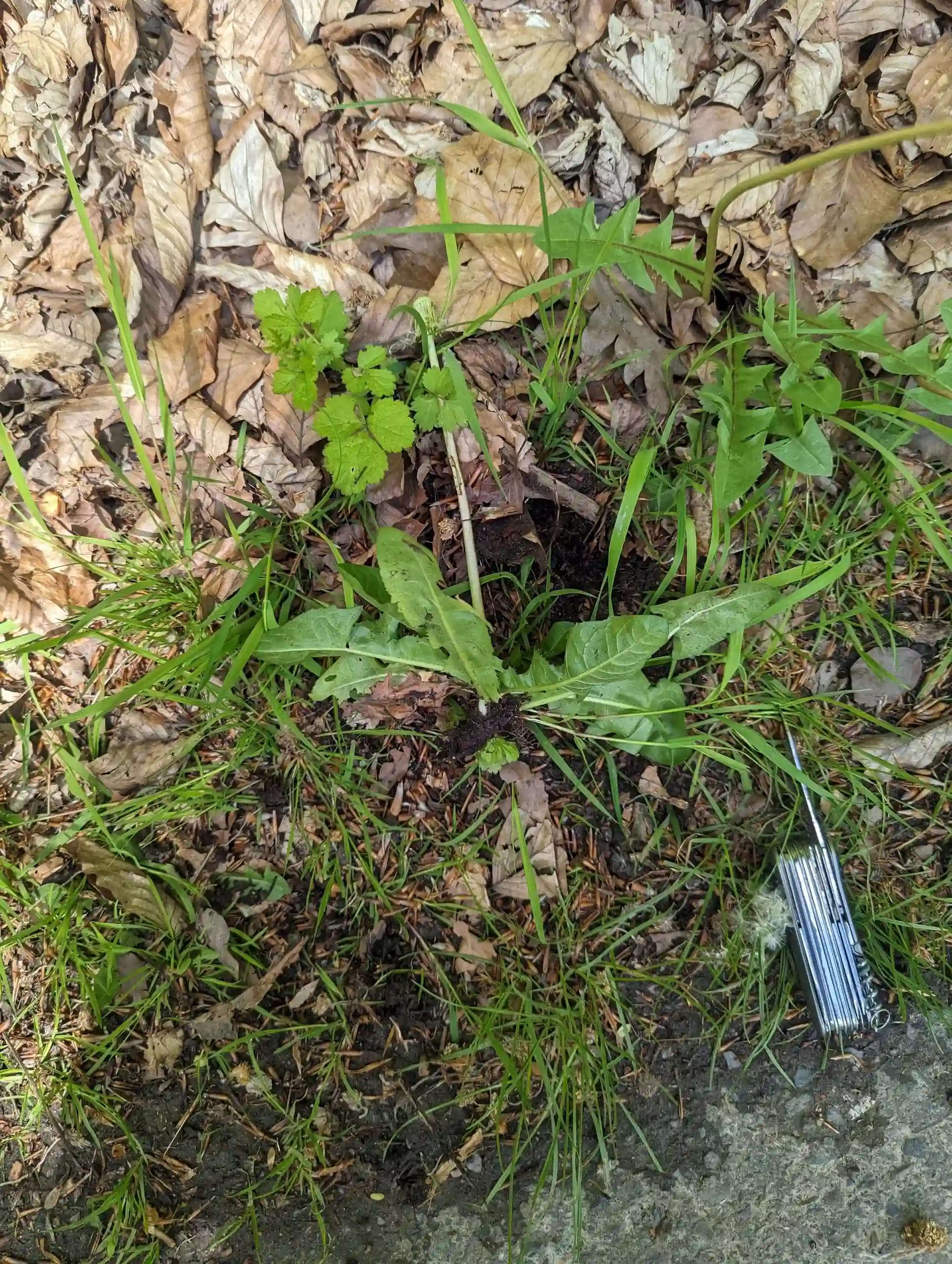 Pxl 20230517 111631478