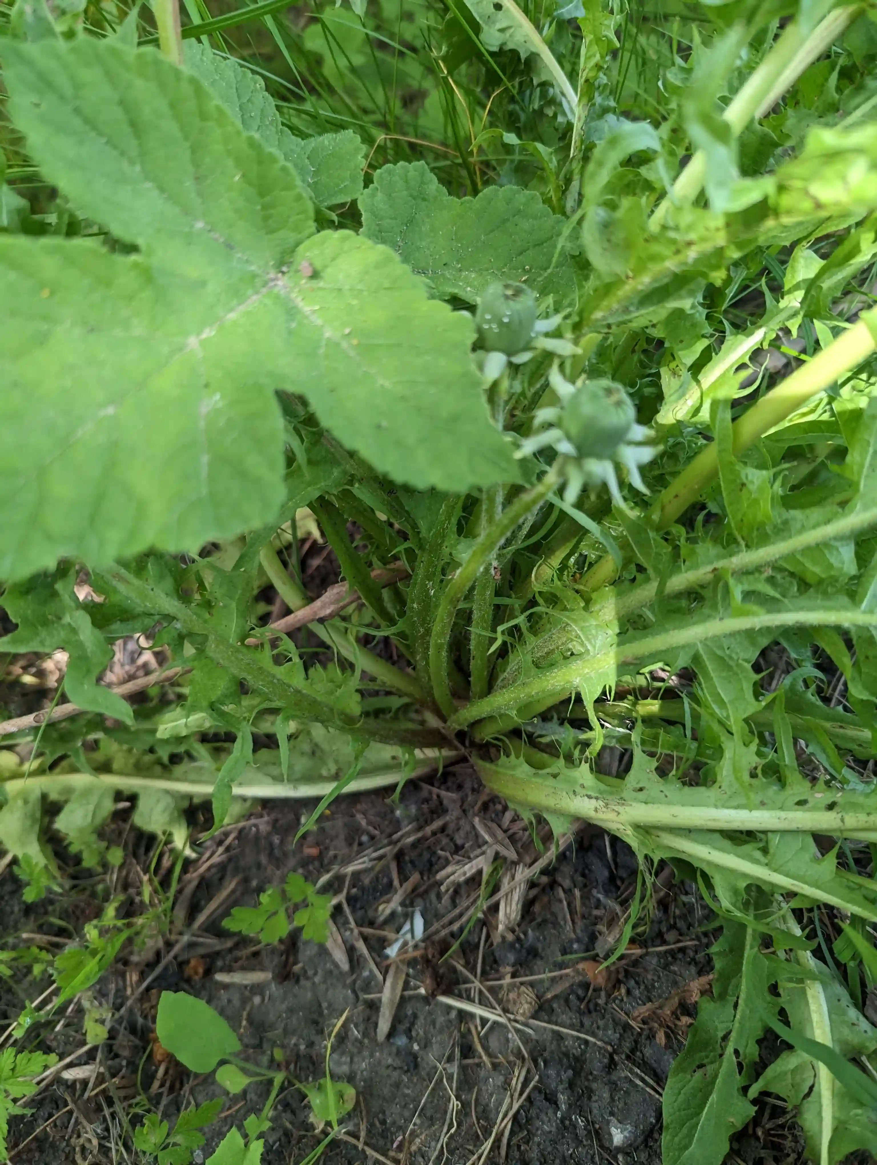 Pxl 20230529 131718203