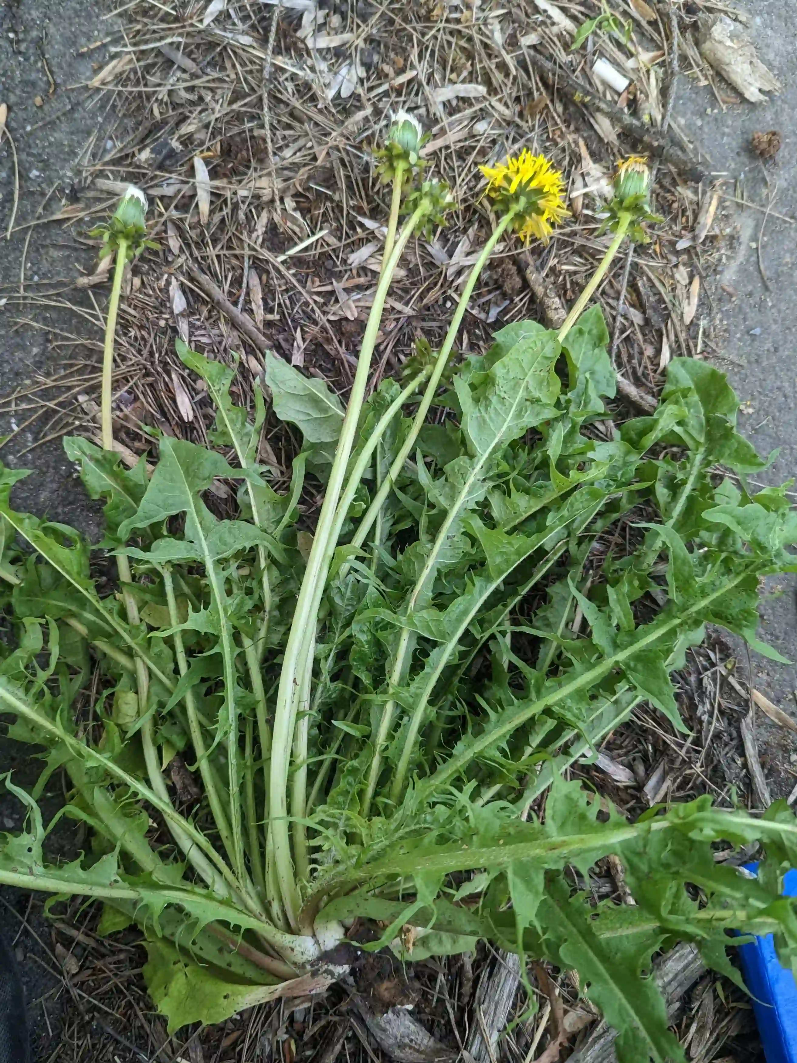 Pxl 20230529 131746546