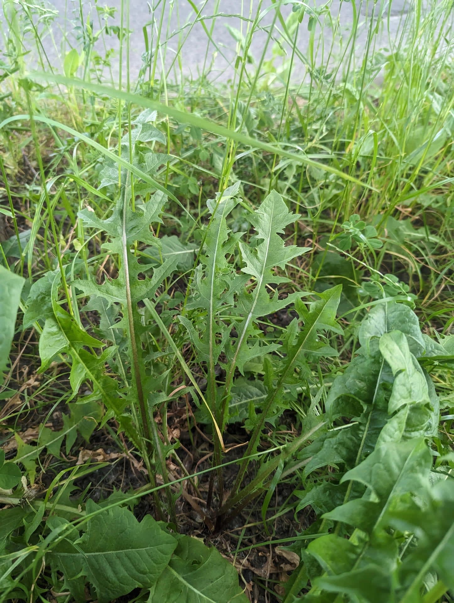 Pxl 20230606 154439941