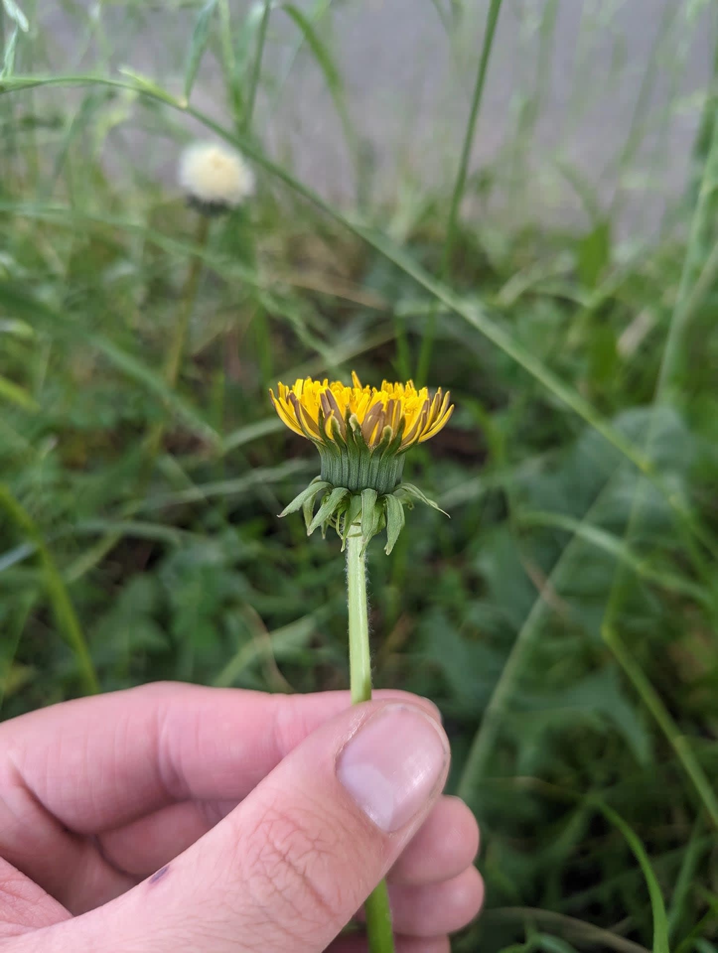 Pxl 20230606 154453352