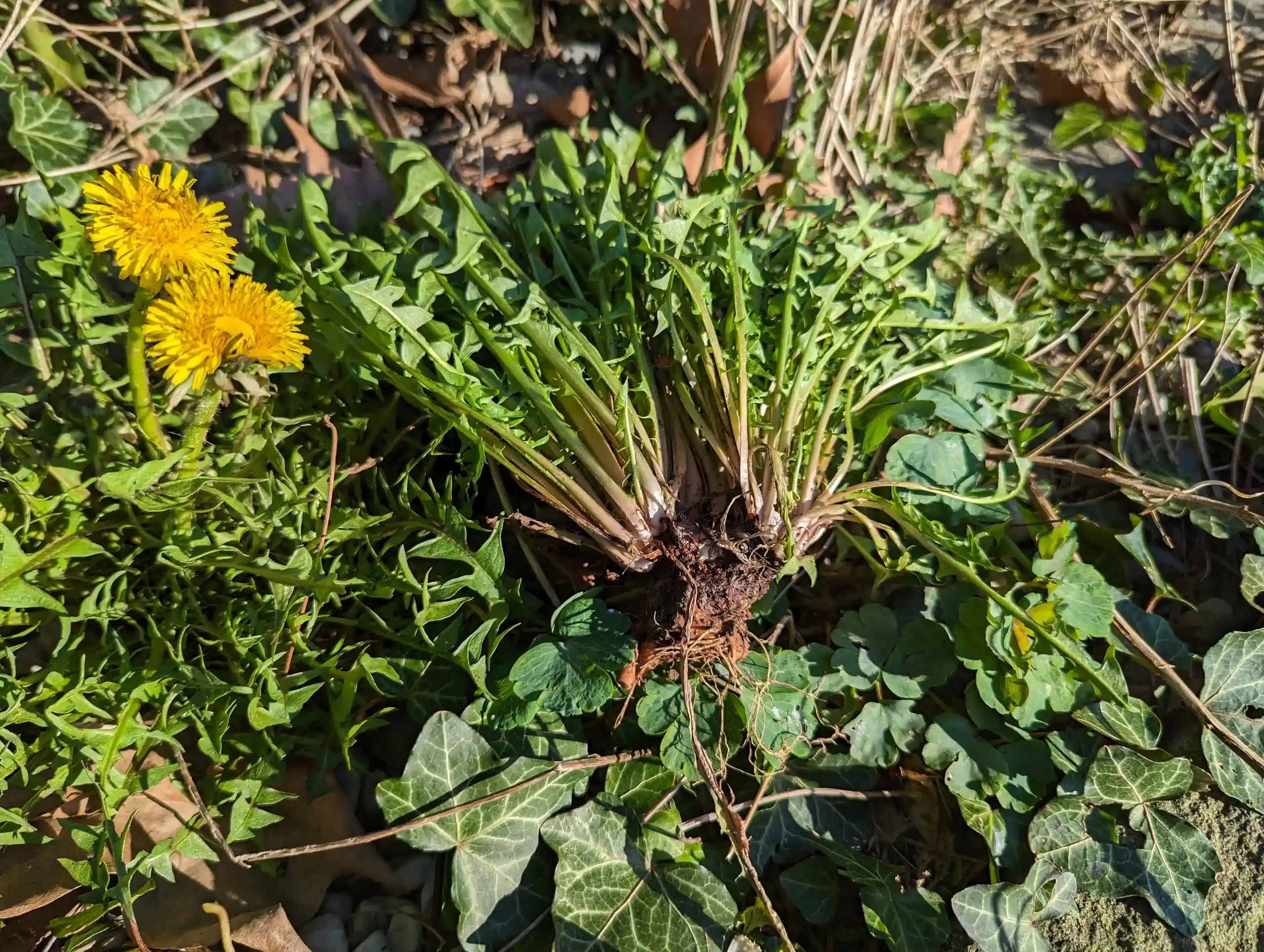 Pxl 20240303 134557458