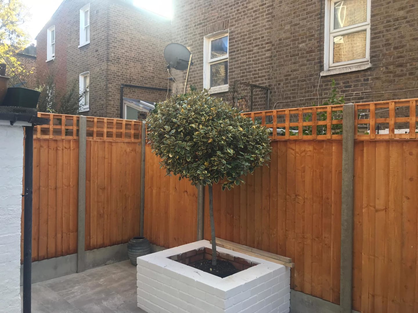 WhatsApp Image    At