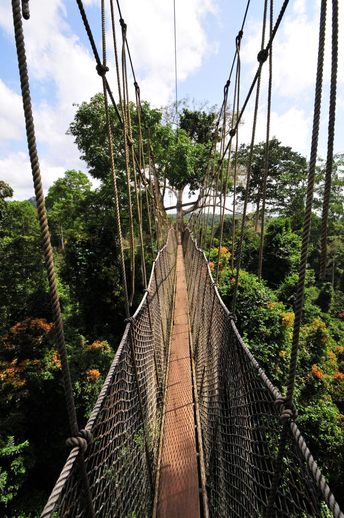 7-Day Ghana Heritage, Culture & Nature Experience — photo 3
