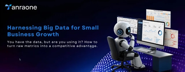 Harnessing Big Data for Small Business Growth