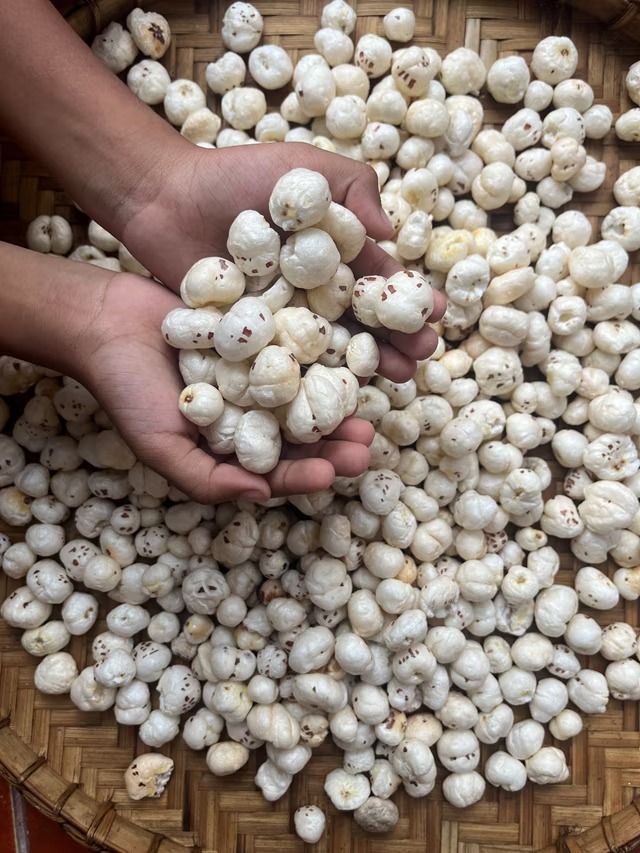 Makhana (Fox Nuts) – Premium Export Quality - Thumbnail 2