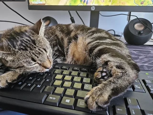 Mochi durmiendo sobre un teclado