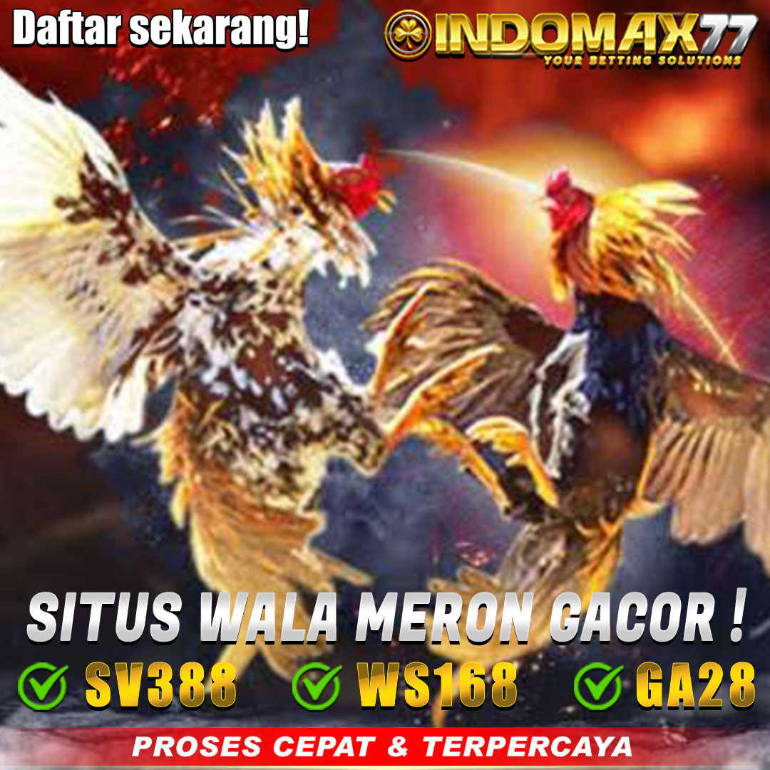 gambar sabung ayam online indomax77