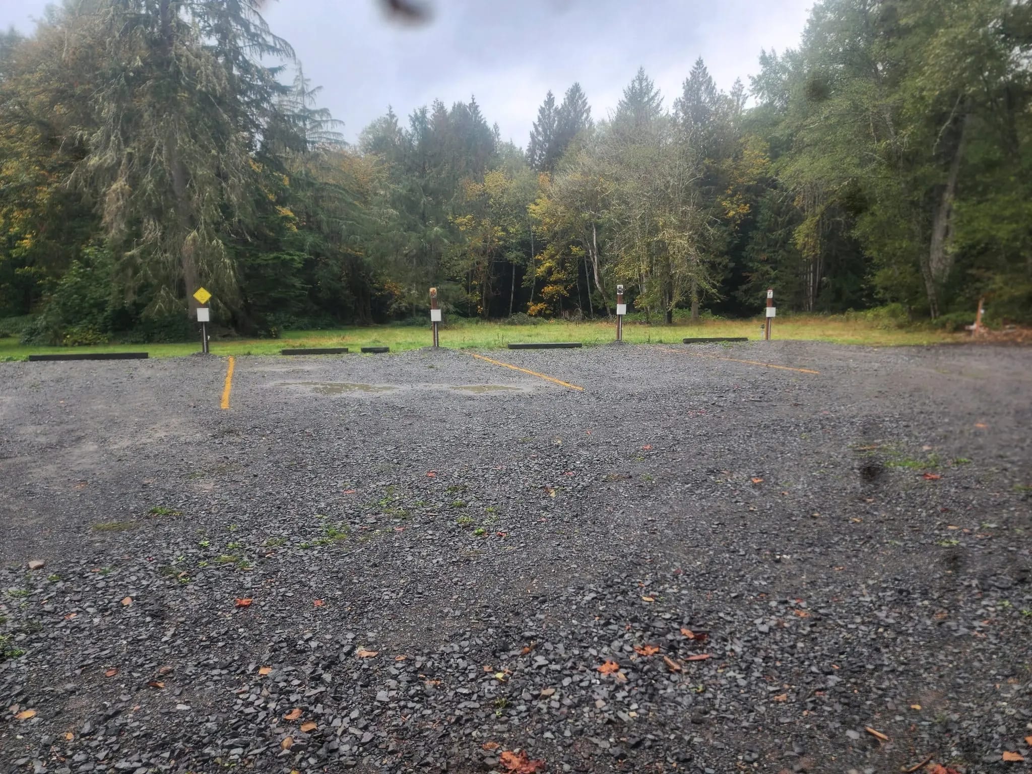 Elk Crossing