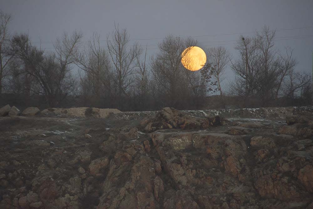 фотографировать луну возможно утром