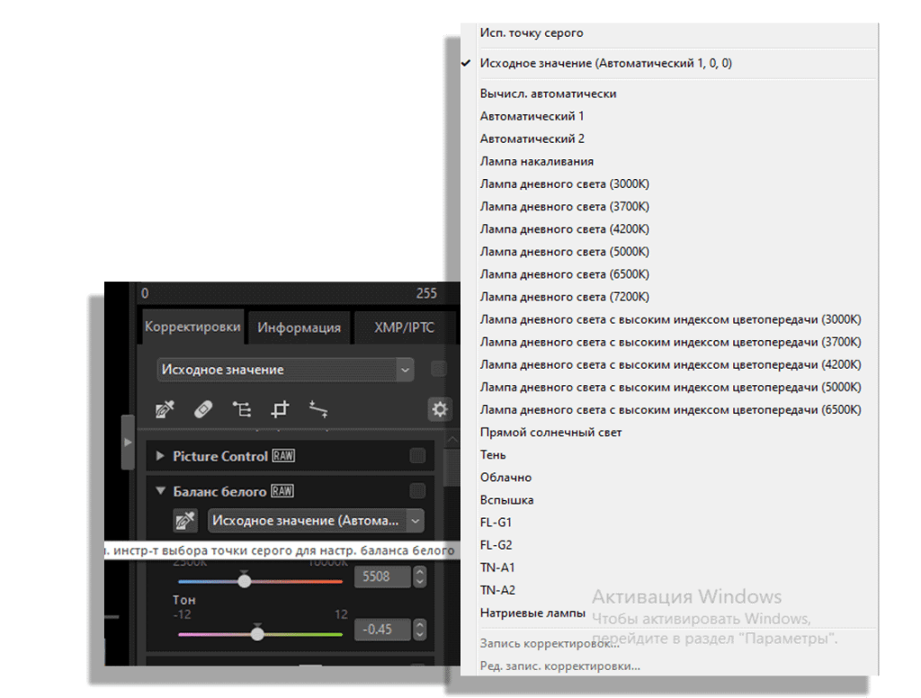 Палитра редактированиия баланса белого и его предустановки