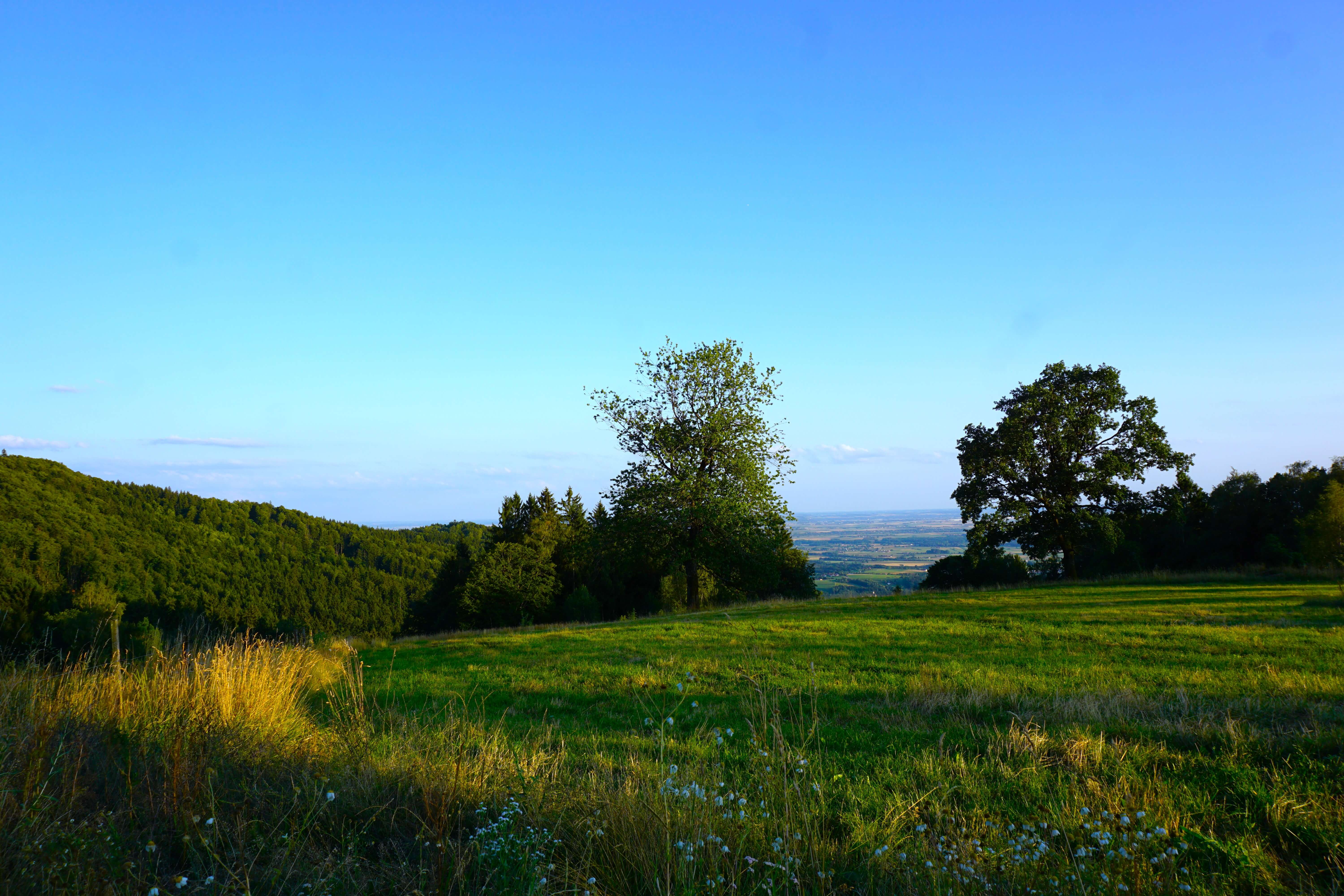 Location photo 9