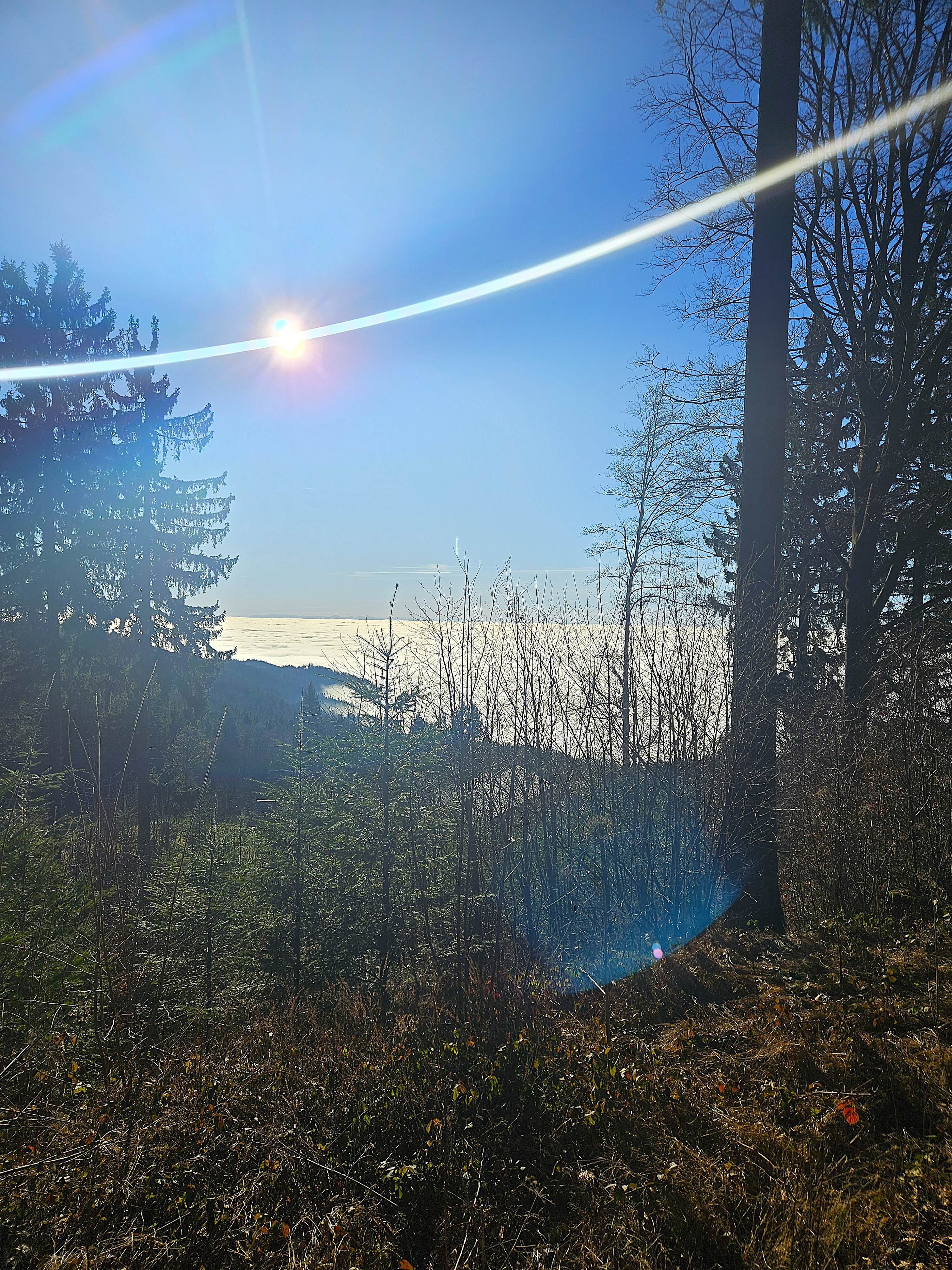 Location photo 16