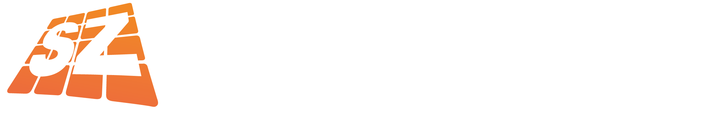 Sky Zone
