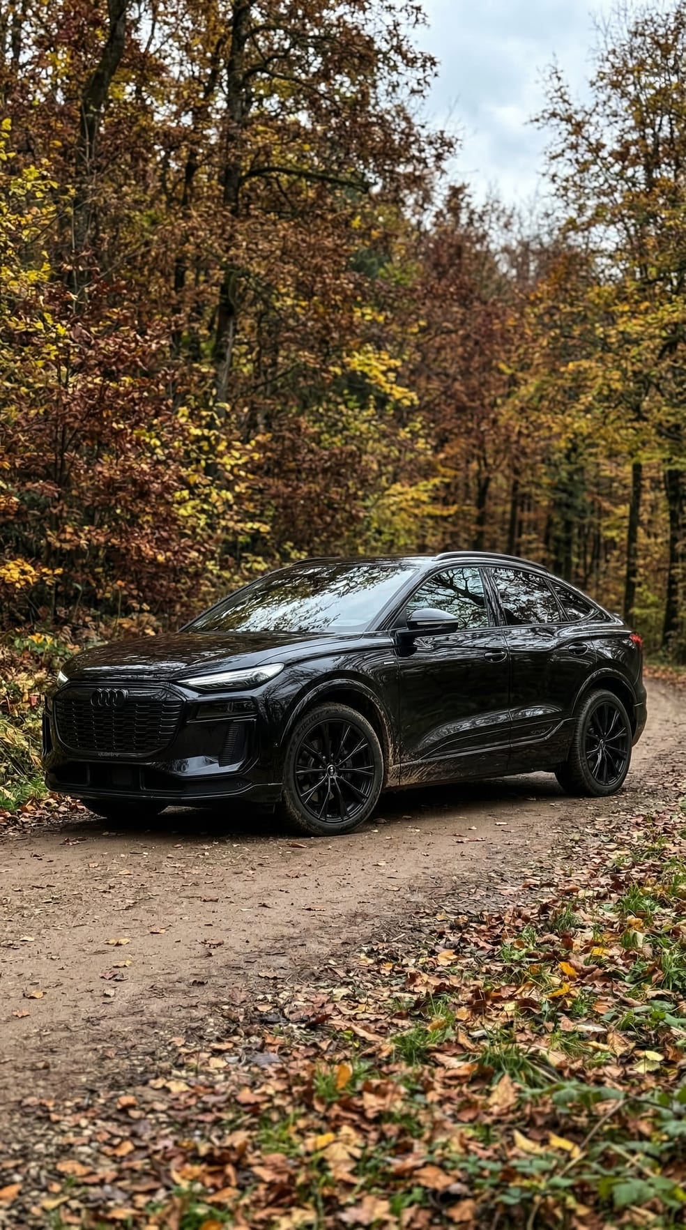 Audi Q6