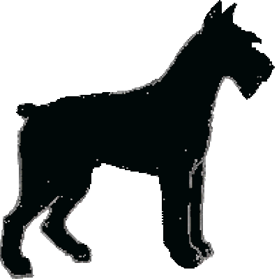 Giant Schnauzer silhoutte