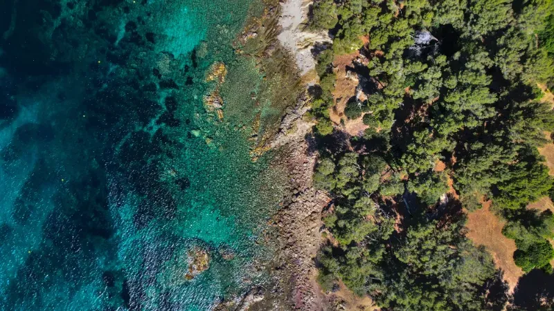 L'agence web à La Seyne-sur-Mer qui transforme votre business