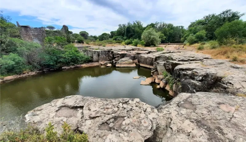 L'agence web à Vidauban qui transforme votre business