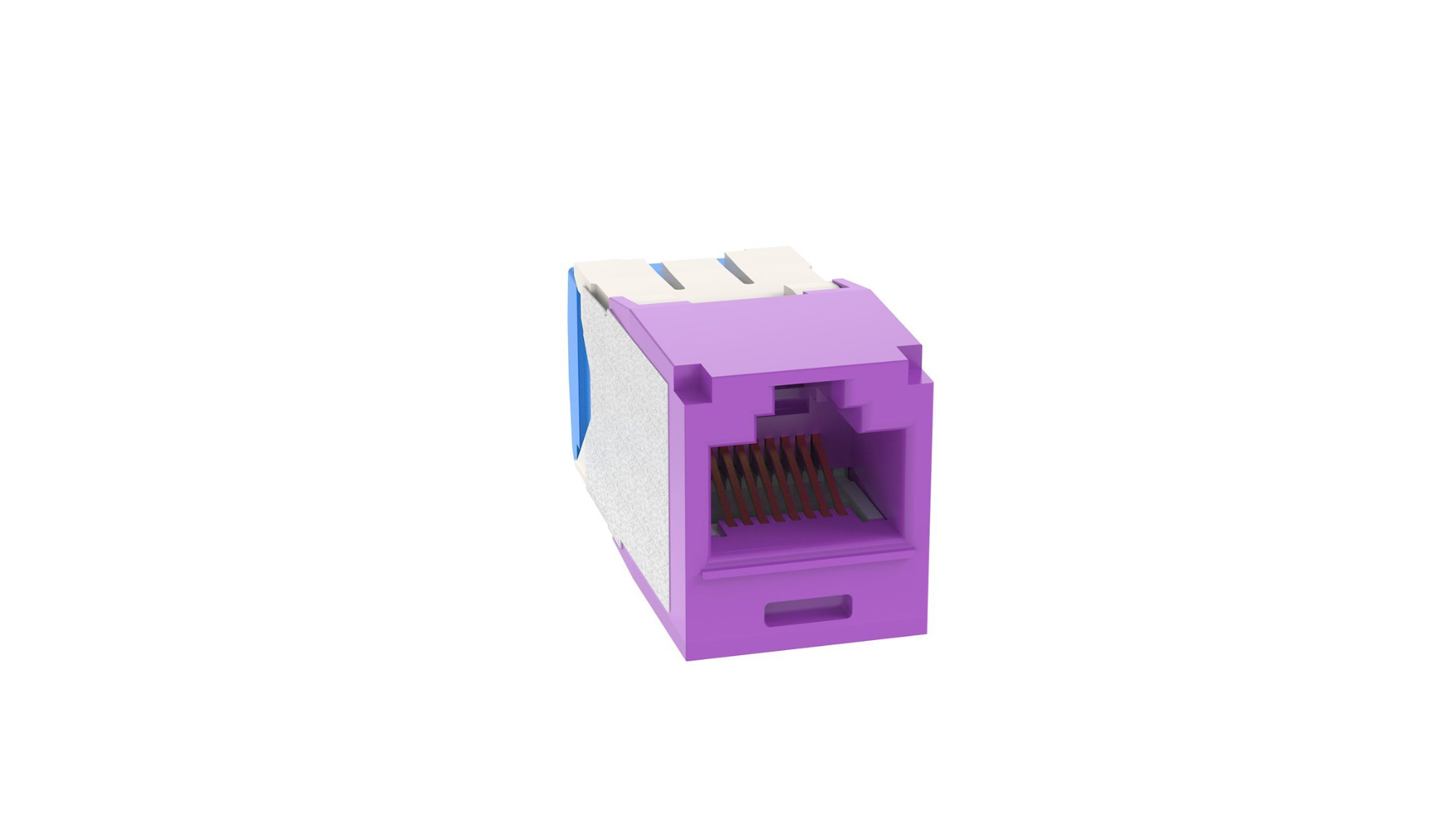 PAND-CJ6X88TGVL - CJ6X88TGVL INSERTO KEYSTONE JACK CAT.6A 8POS VIOLETA