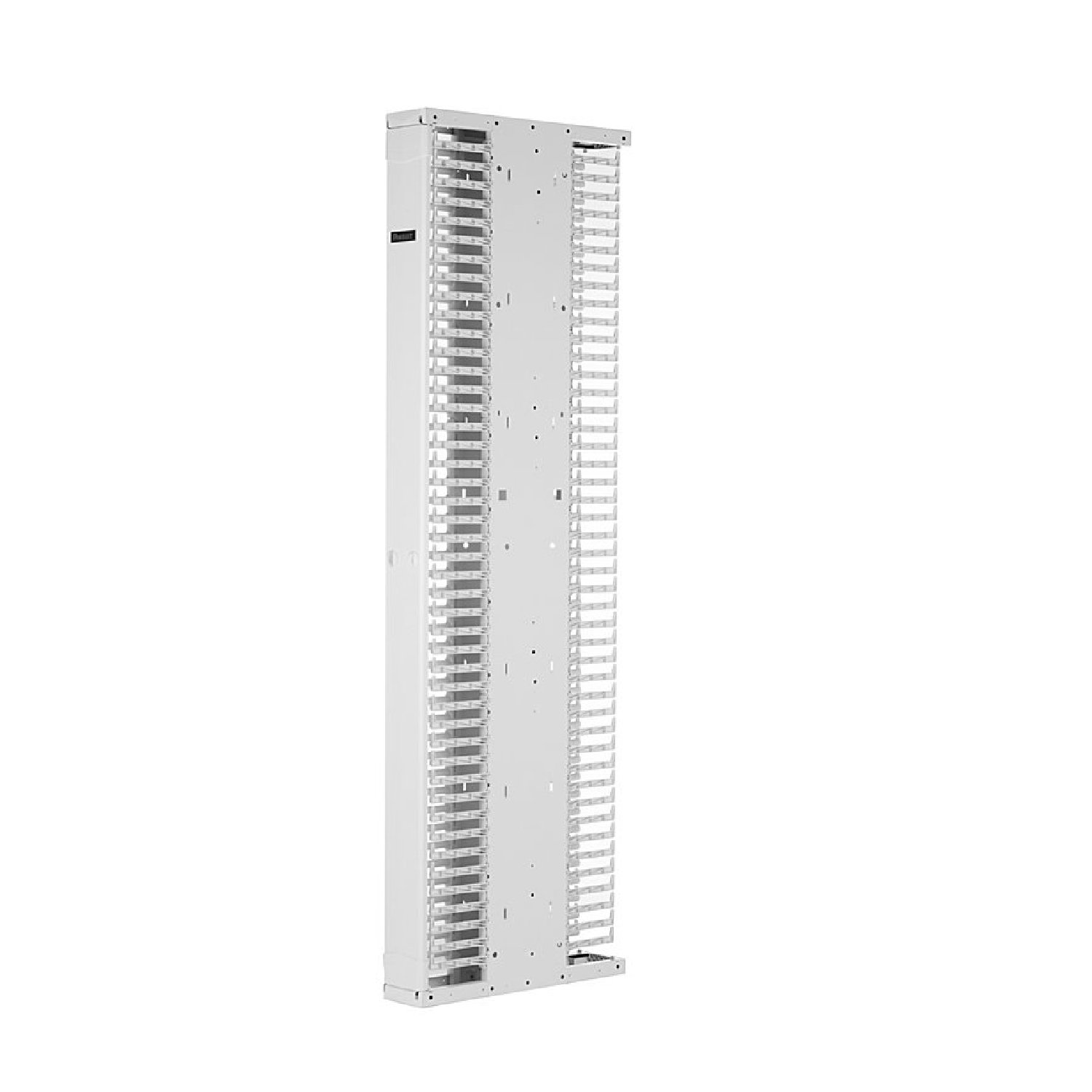 PAND-PE2VSD06WH - Panduit PE2VSD06WH | Gestor Vertical Cableado Doble Cara 45RU
