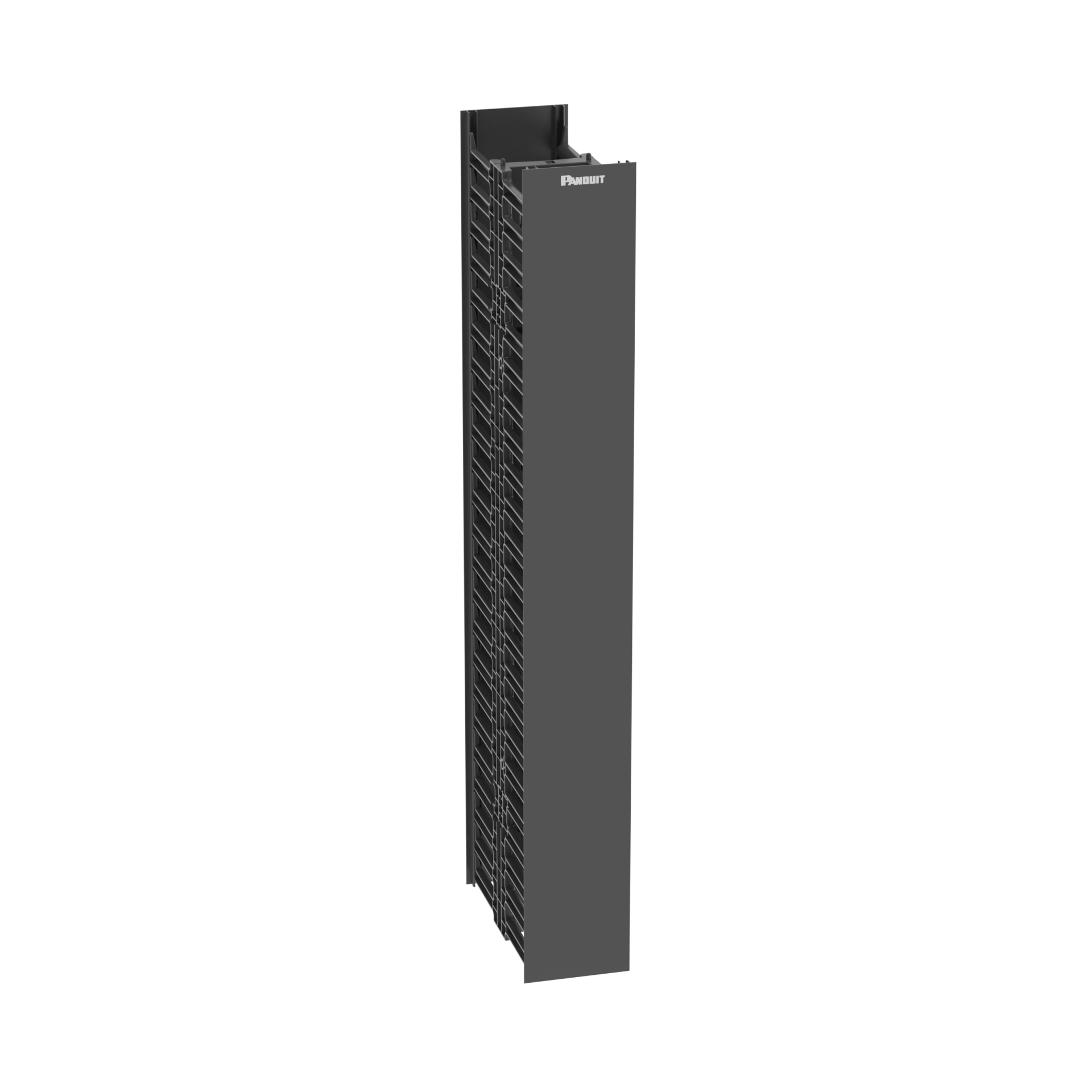 PAND-WMPV22E - WMPV22E ORGANIZADOR DE CABLES VERTICAL FRONT/TRAS  22RU