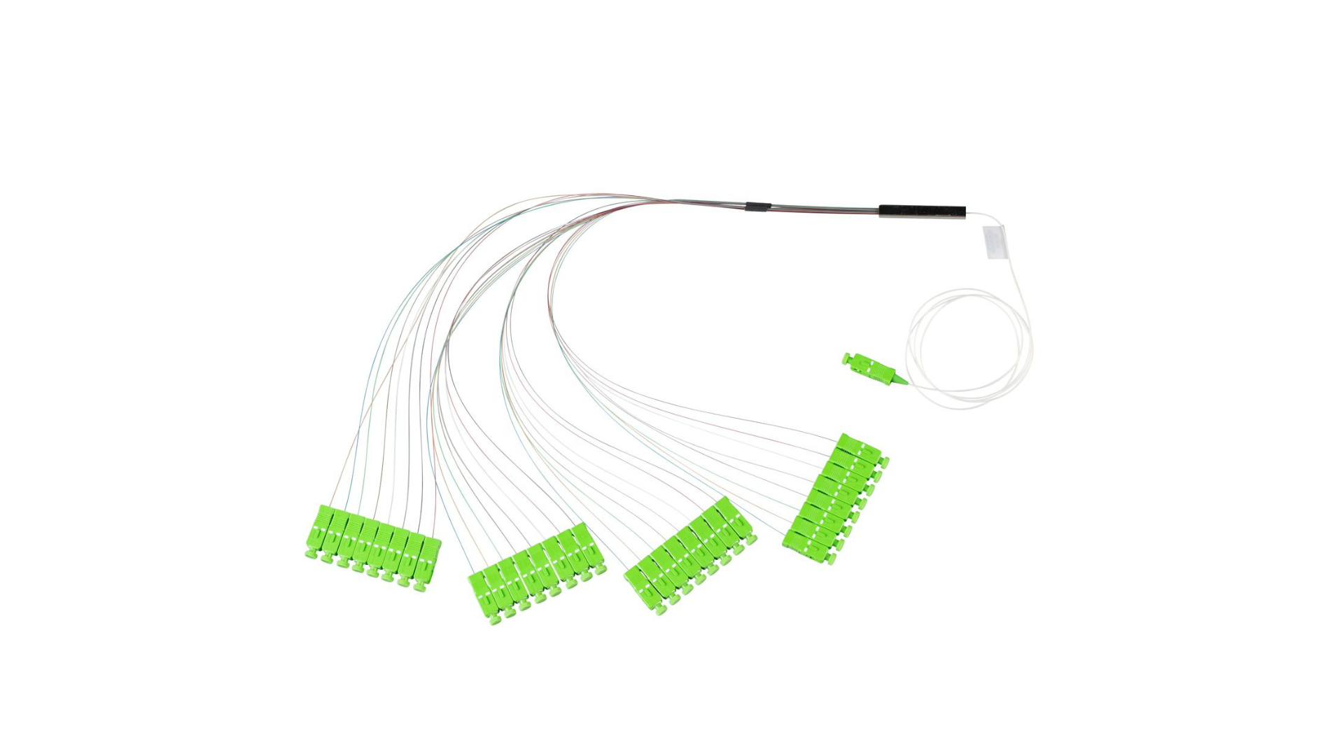 PAND-FPONCS1X32 - FPONCS1X32 Fiber Optic PLC Splitter, 1x32 Ratio, with 1 SC-APC to 32 SC-APC Connectors
