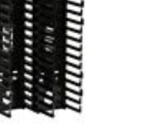 PAND-NRV6 - NRV6 ORGANIZADOR VERTICAL 45 RU 6" ANCHO 2 SECCIONES 22.5RU