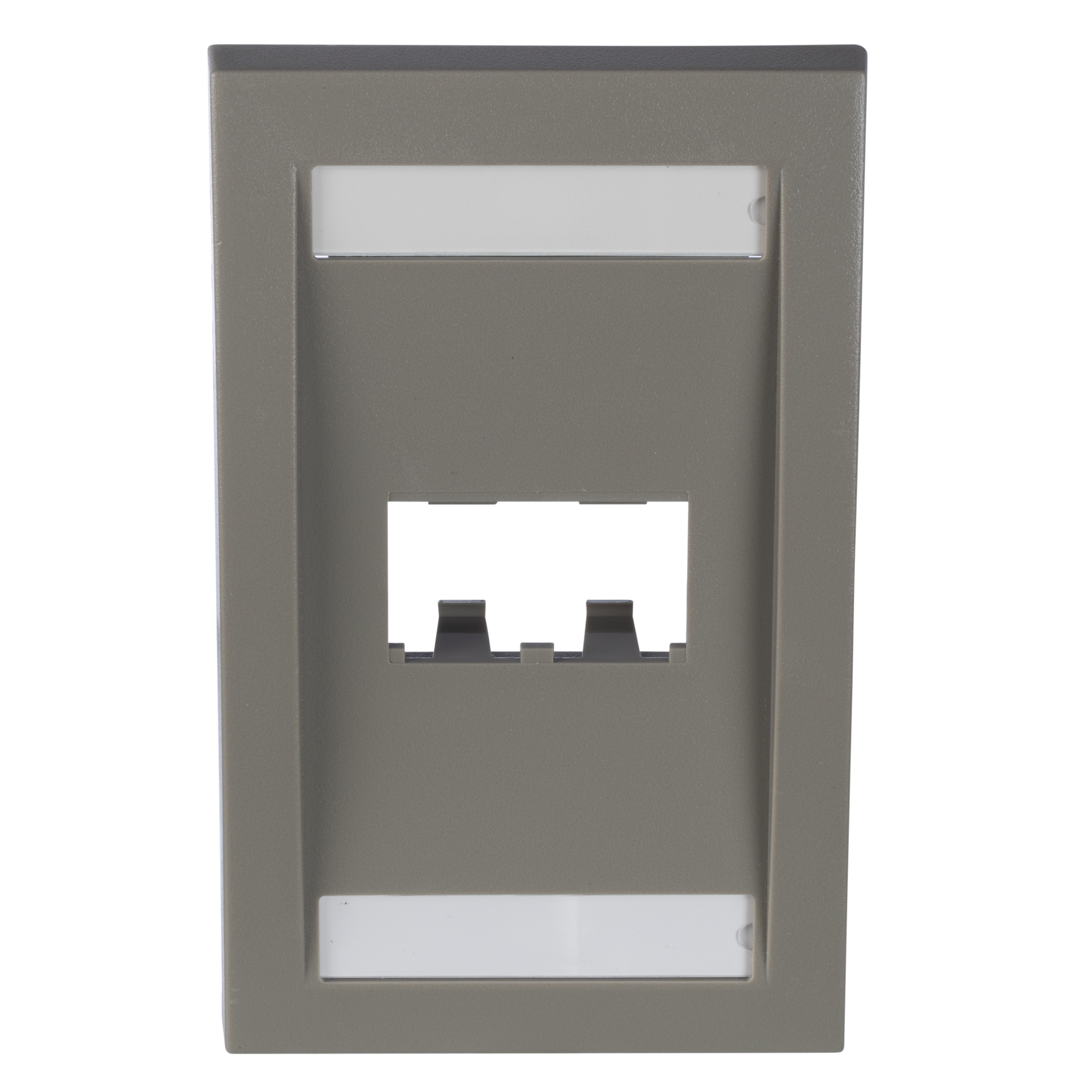 PAND-CFPE2IGY - CFPE2IGY PLACA PLASTICA VERTICAL 2 MODULOS MINICOM