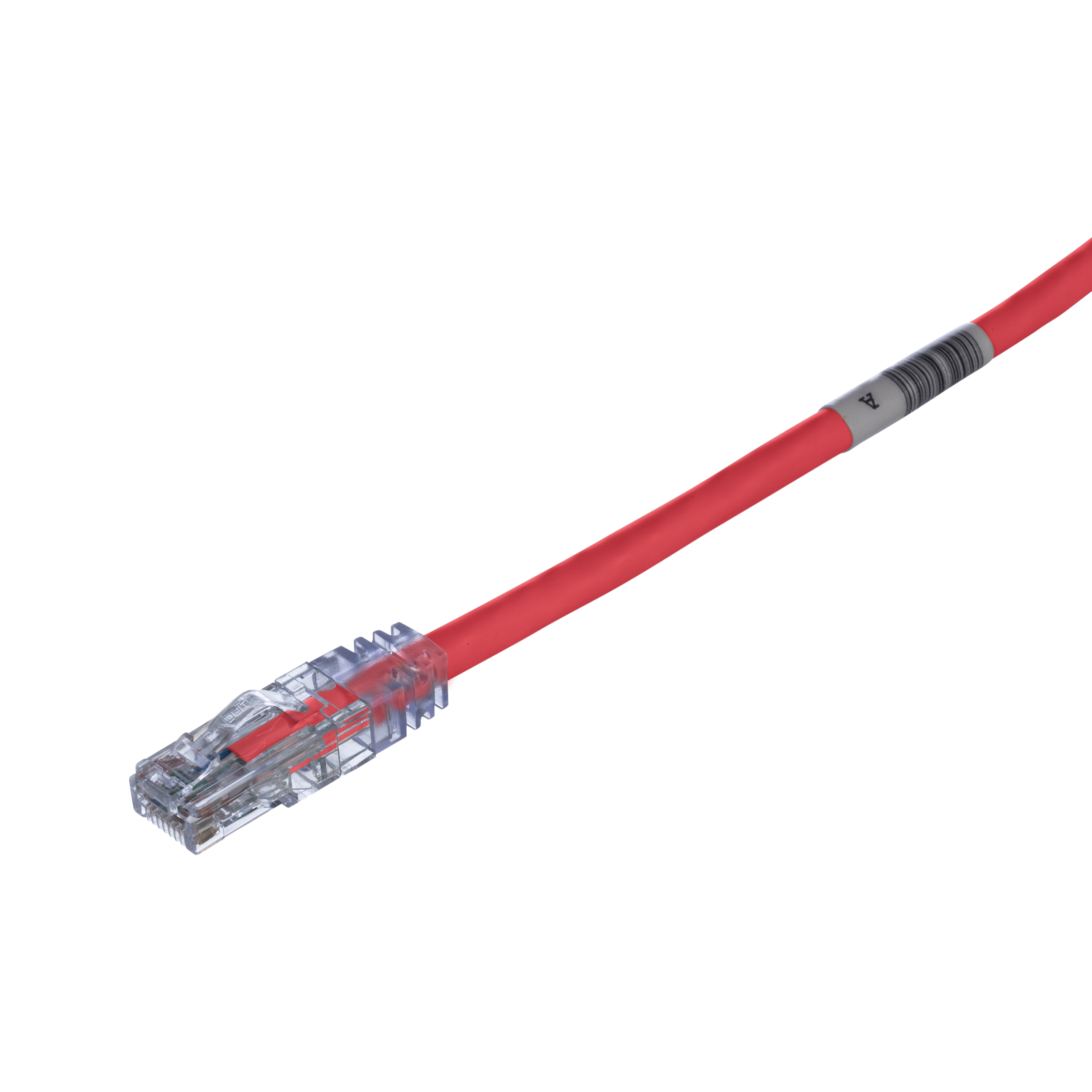 PAND-UTPSP1RD - UTPSP1RD PATCH CORD CAT6 24 AWG  UTP  ROJO 1 PIE