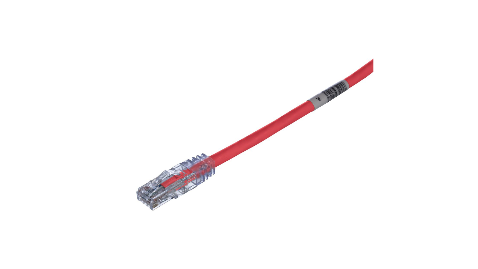 PAND-UTPSP10RDY - UTPSP10RDY PATCH CORD CAT. 6 ROJO 10FT 
