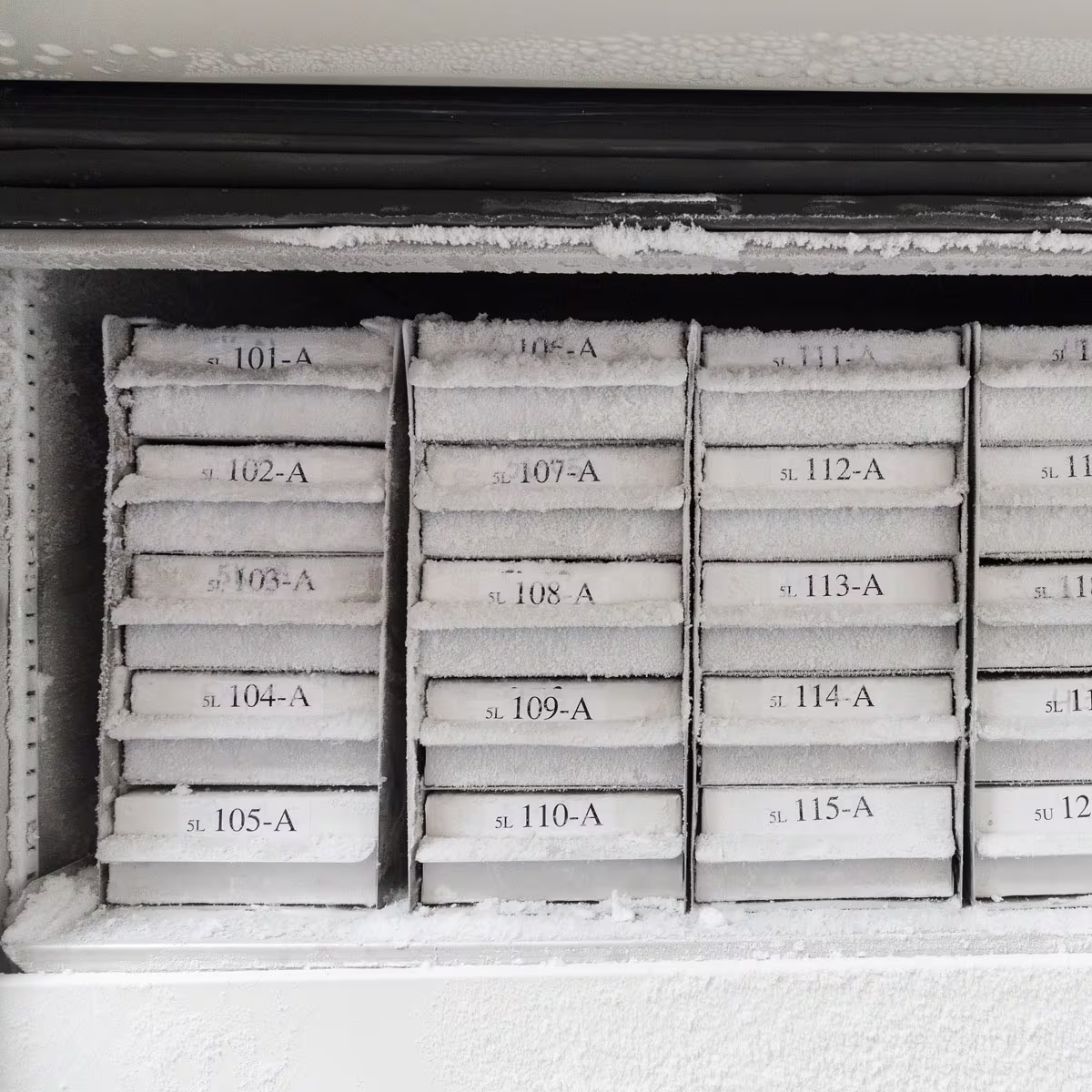 M21-375-499 CARTUCHO DE ETIQUETAS NYLON 0.375inW x 16ftL NEGRO S/BLANCO BRADY