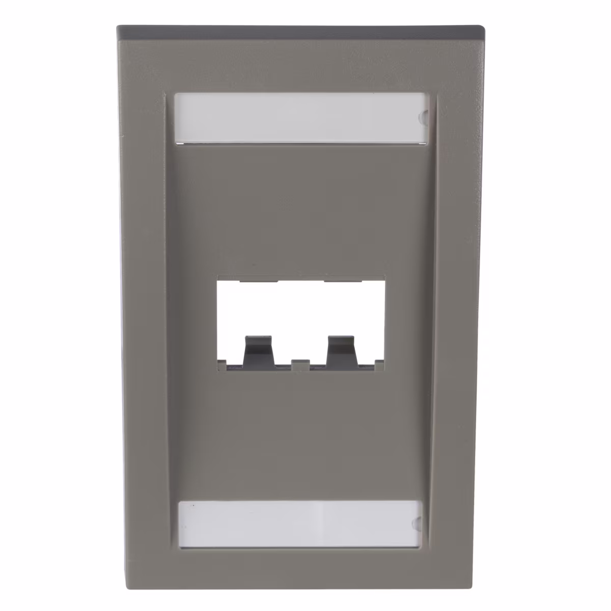 CFPE2IGY PLACA PLASTICA VERTICAL 2 MODULOS MINICOM