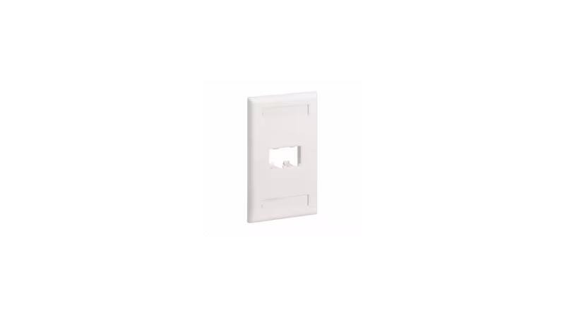 CFPL2IWY PLACA DOBLE BLANCA PANDUIT CLASSIC