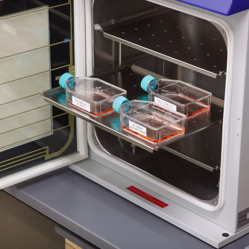 M21-750-7425 CARTUCHO DE ETIQUETA POLIPROPILENO 0.75 in W x 21 ft L NEGRO S/BLANCO, BRADY