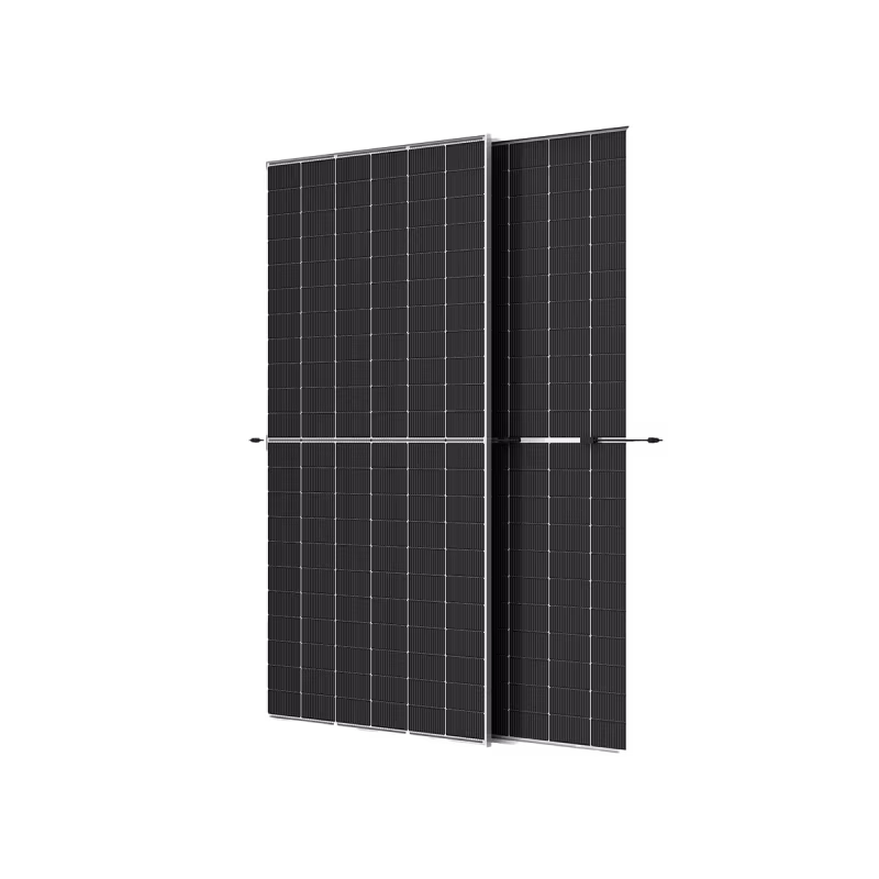 MULTIMARCA Panel Solar Monocristalino Bifacial 610W TSM-610NEG19C