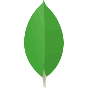 mongodb (mongoose)