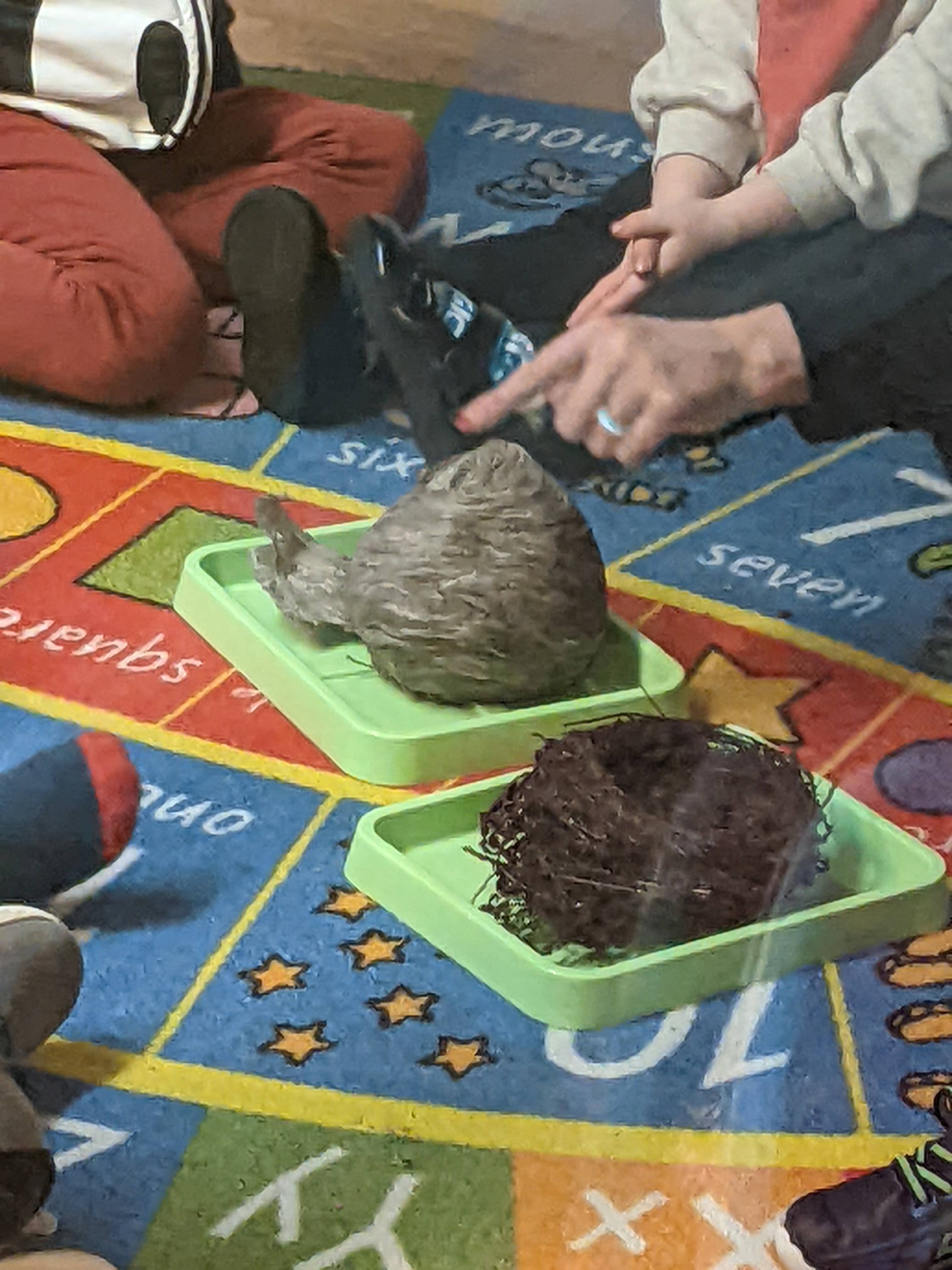 Children in class