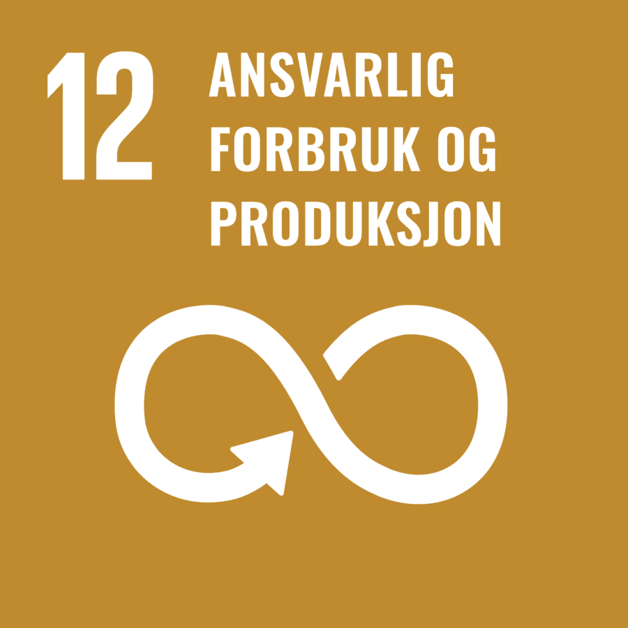 SDG 12: Ansvarlig forbruk og produksjon