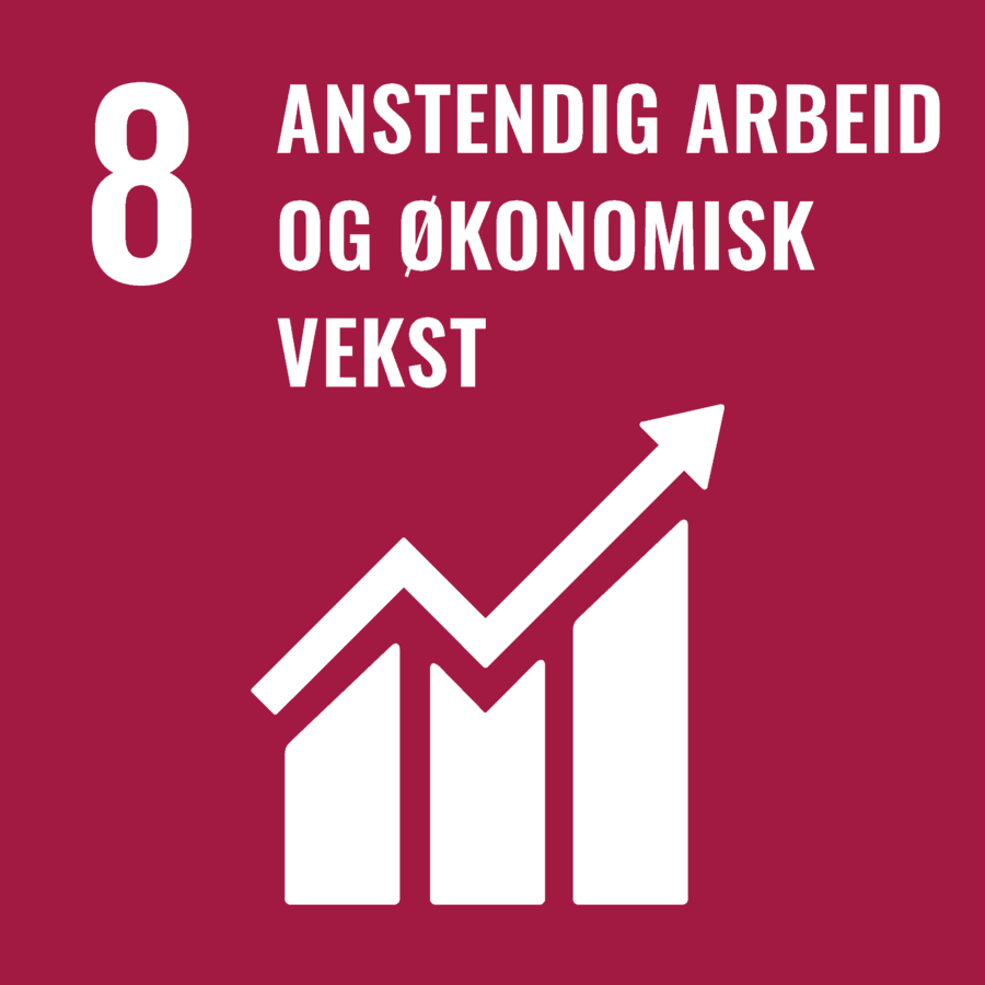 SDG 8: Anstendig arbeid og økonomisk vekst