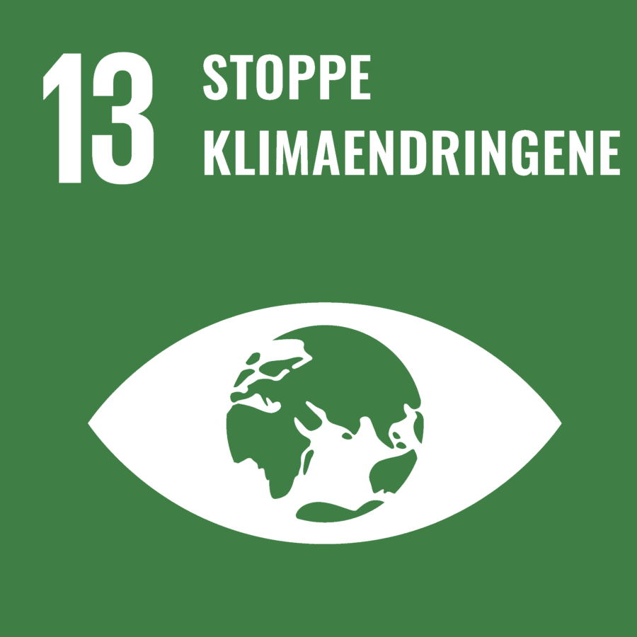SDG 13: Stoppe klimaendringene