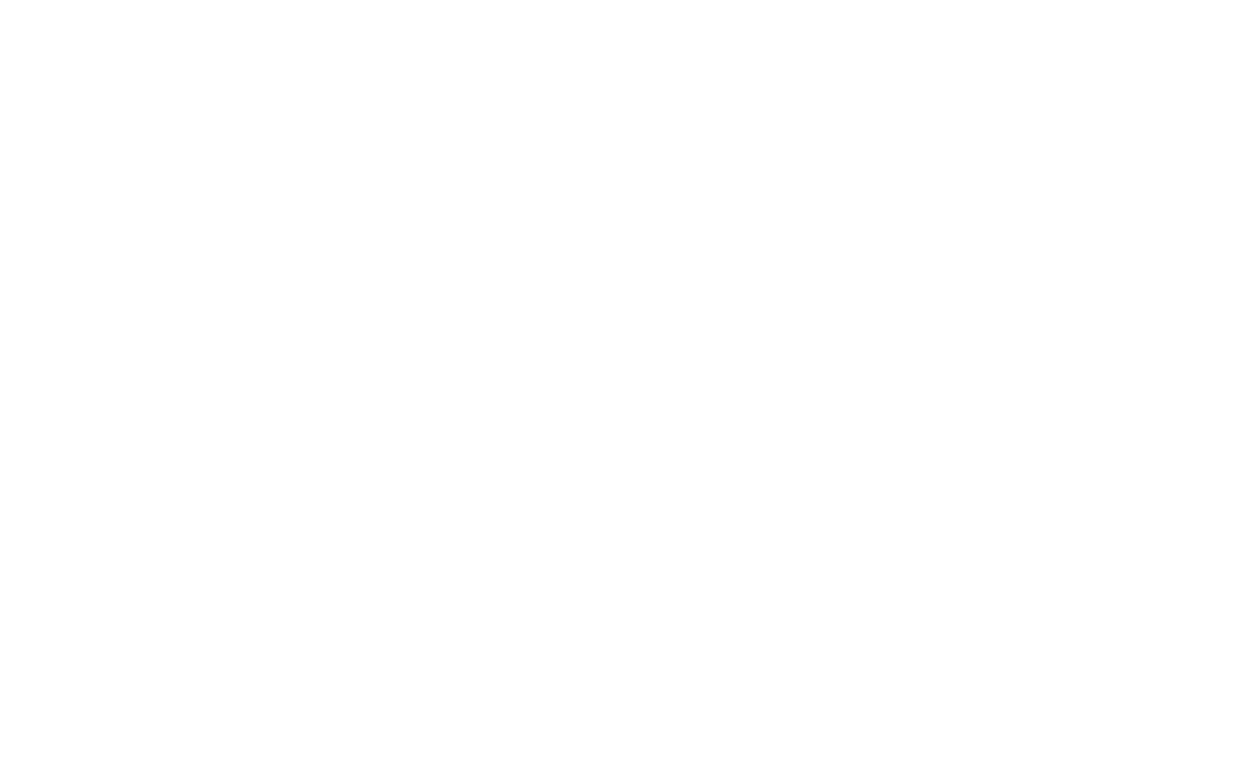 1020307.png