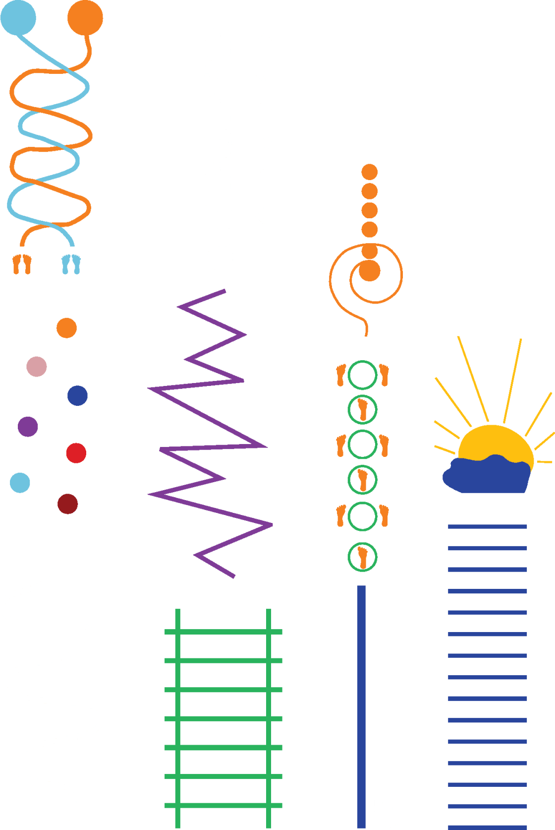 1020607.png